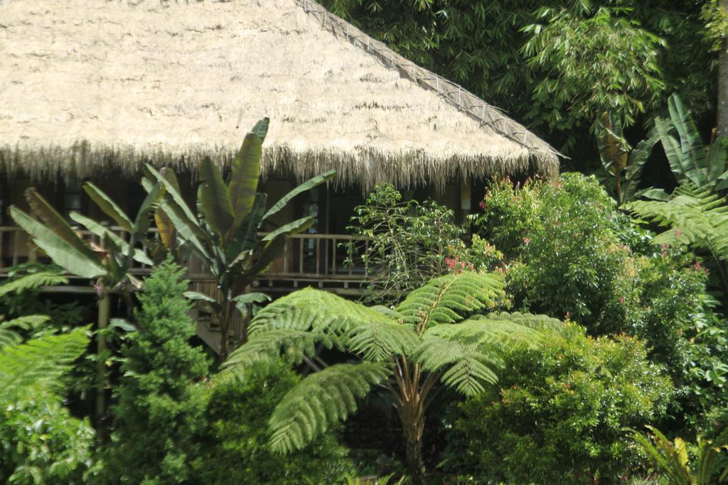 Hotel Warung Rekreasi Bedugul Habitación foto