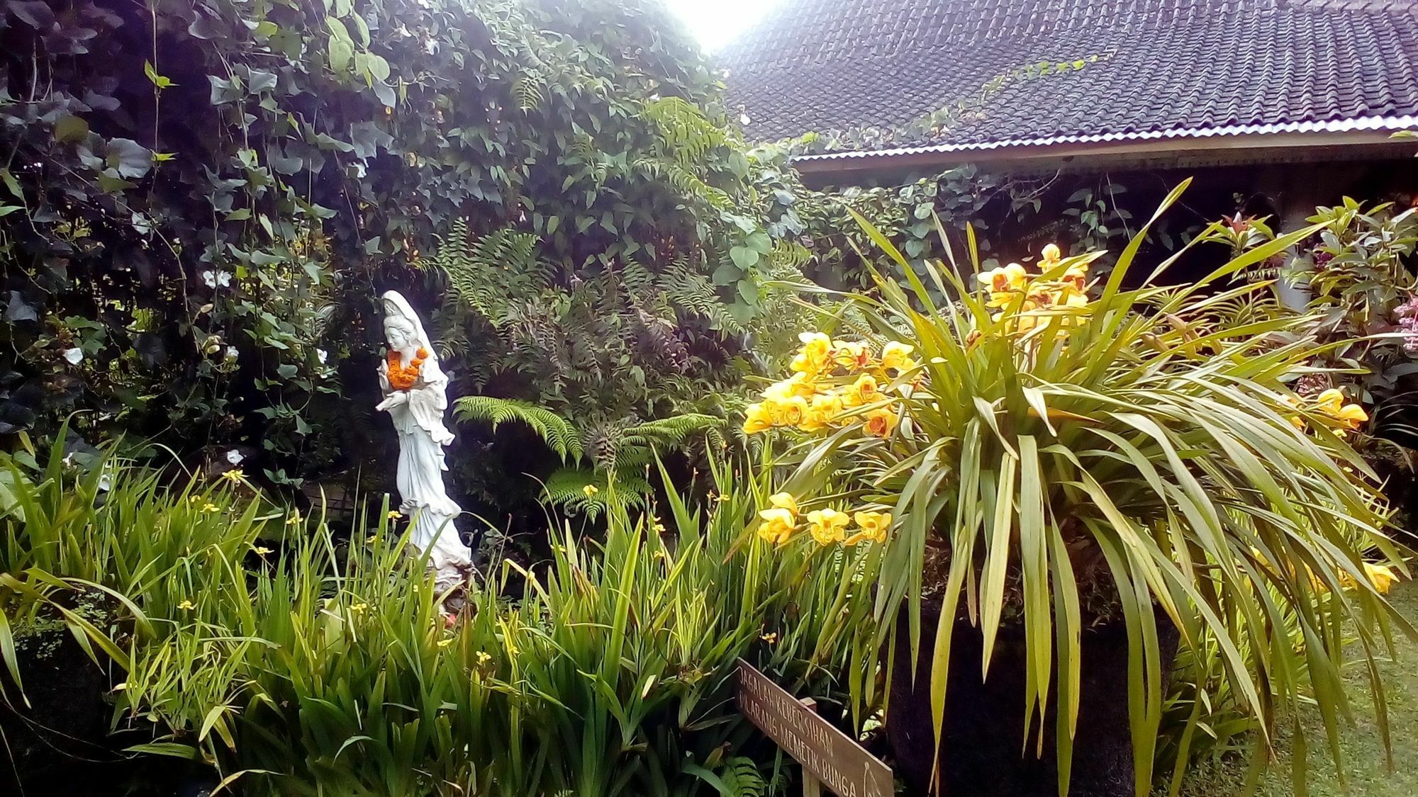 Hotel Warung Rekreasi Bedugul Exterior foto